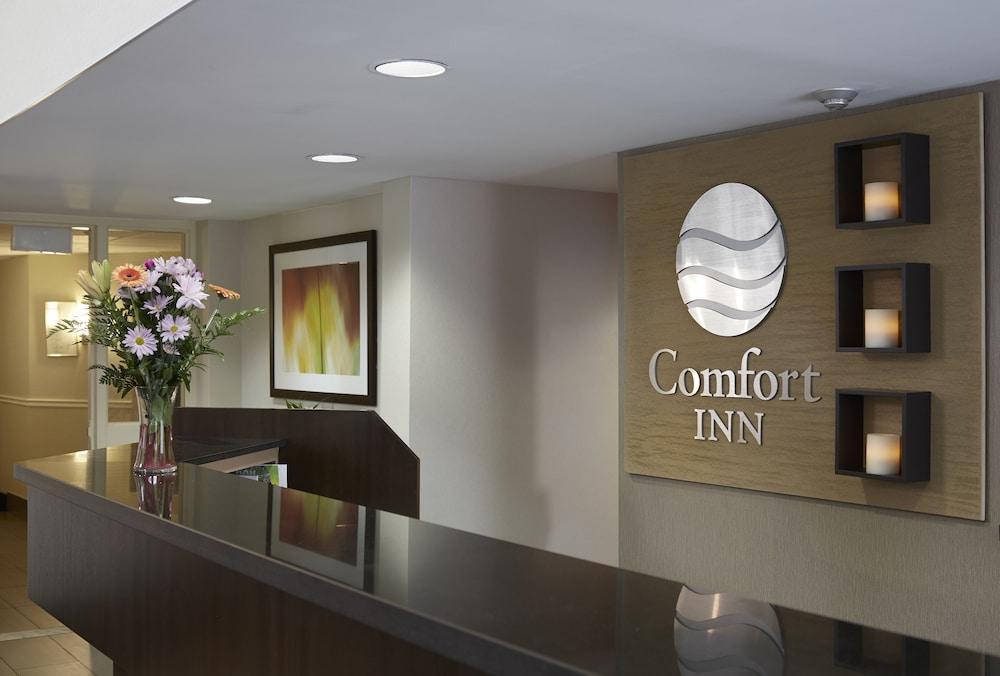 Comfort Inn Драйден Экстерьер фото