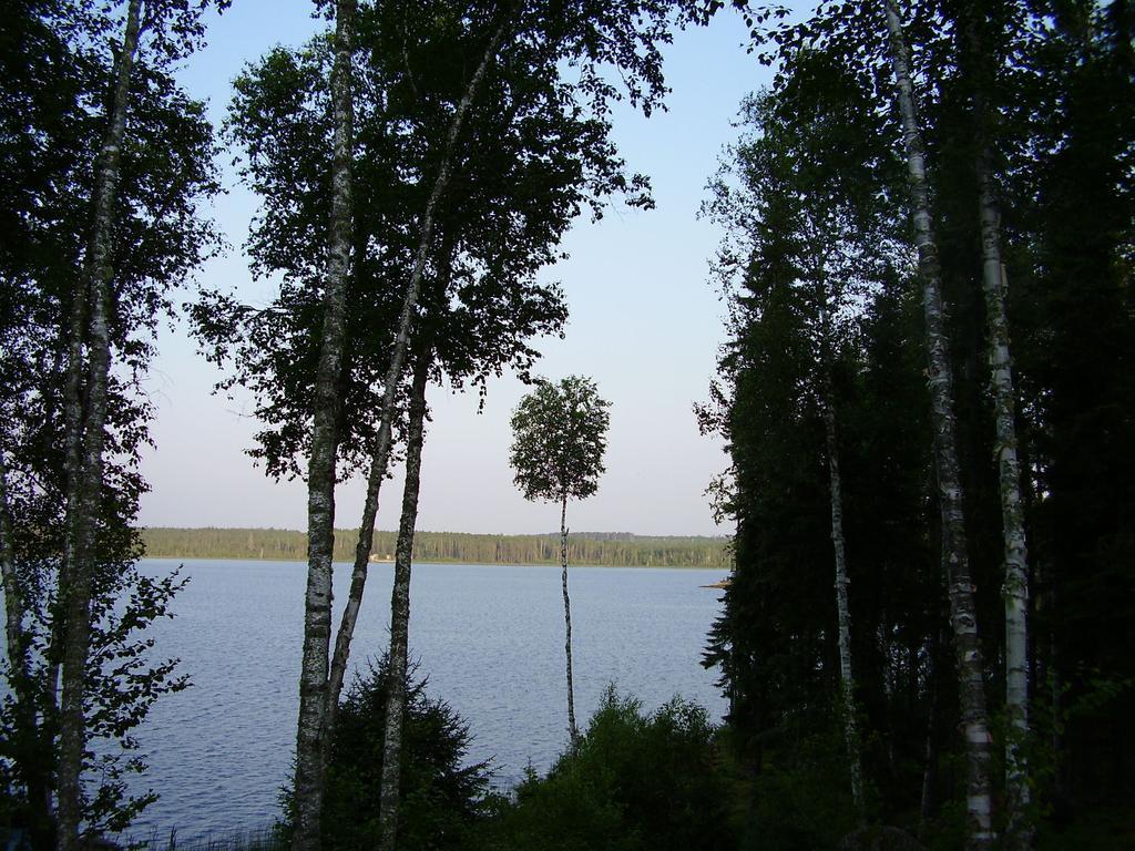Comfort Inn Драйден Экстерьер фото