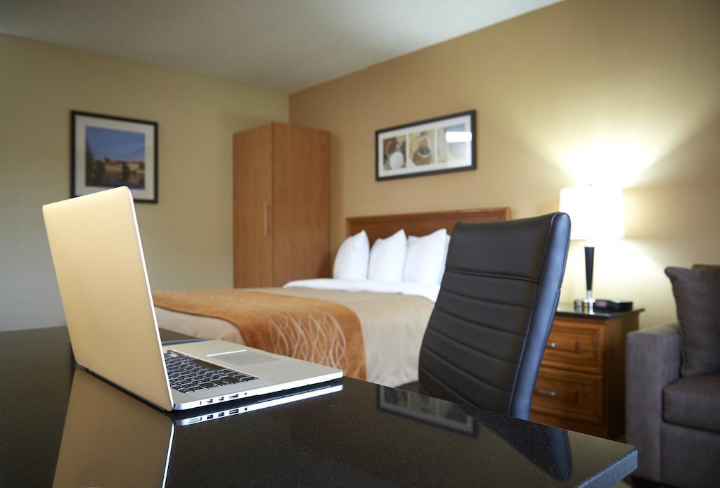 Comfort Inn Драйден Экстерьер фото