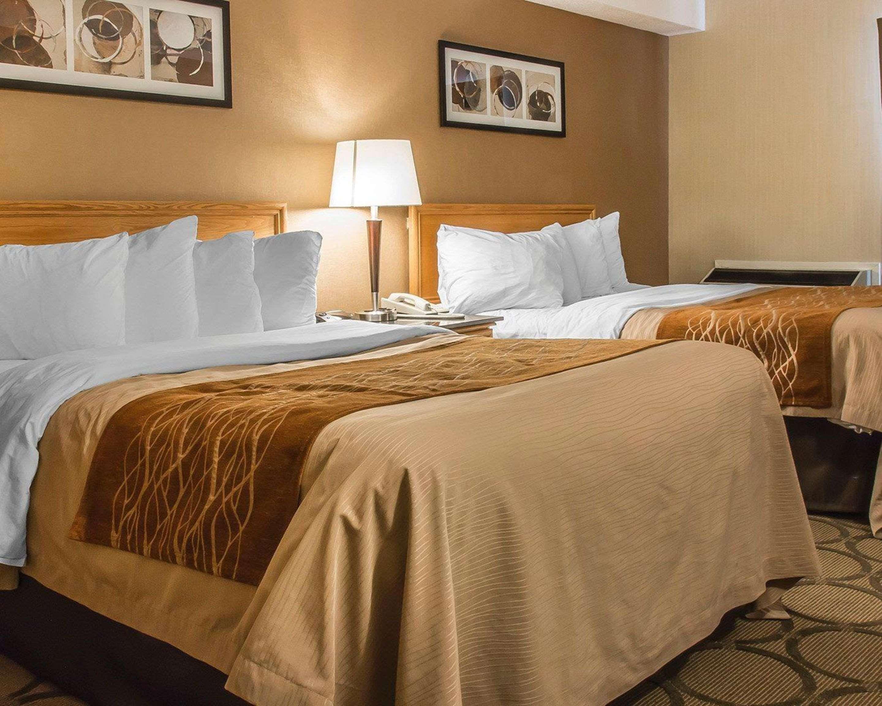 Comfort Inn Драйден Экстерьер фото